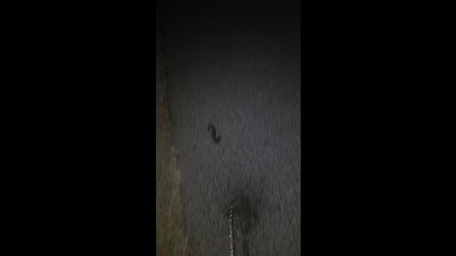 Risky walking naked and pissing in pubic